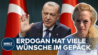 GIPFELTREFFEN IN IRAN: Geopolitik - Das will Erdogan wirklich | WELT Hintergrund