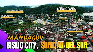 BISLIG CITY, SURIGAO DEL SUR | DRONE SHOTS 4K | TRIP OUTDOOR