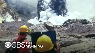 White Island volcano survivors sue Royal Caribbean and New Zealand tour company