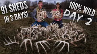 DAY 2 of our RECORD BREAKING SHED HUNT, 35 in 1 day! | Bowmar Bowhunting |