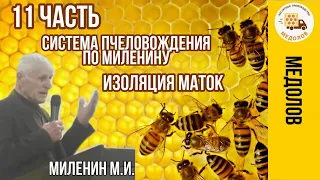 Система пчеловождения по Миленину. Пчеловоды и клещеводы. Изоляция маток. Миленин М.И. Часть 11