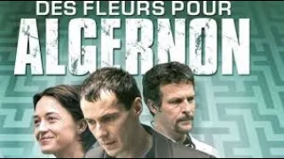 DES FLEURS POUR ALGERNON  🐭 -  (LE FILM)  🎥