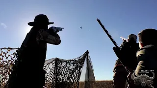 Extreme Hunters wingshooting [Pigeons]