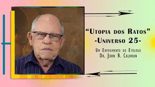 "A Utopia Dos Ratos" (Universo 25)