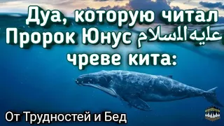 ДУА О ПРОЩЕНИЕ ГРЕХОВ У АЛЛАХА..Дуа Пророка Юнуса..