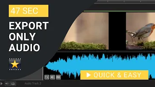VideoPad Tutorial: How to Export only Audio in VideoPad