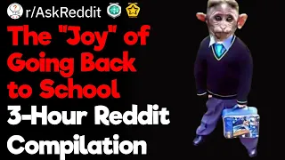 How Was Your School Day? (3-Hour Reddit Compilation)