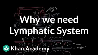 Why we need a lymphatic system | Lymphatic system physiology | NCLEX-RN | Khan Academy