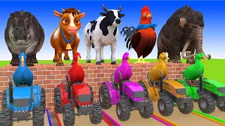 5 Giant Duck, Monkey, Lion, piglet, cow, zebra, Tiger, Sheep, Transfiguration funny animal 2023