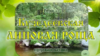 Кузедеевская Липовая роща (12+)