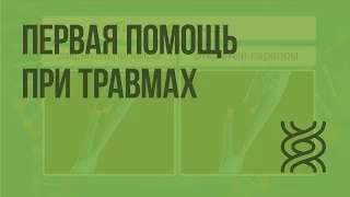 Первая помощь при травмах: растяжениях связок, вывихах суставов, переломах костей. Видеоурок