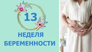 13 Неделя Беременности. Развитие плода и ощущения мамы