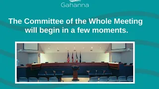 City Council: Committee of the Whole & Finance Committee - November 14, 2022 -  Livestream