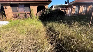 Front Yard Neglected Due To Health Issues. Received A Helping Hand To Clean it Up!