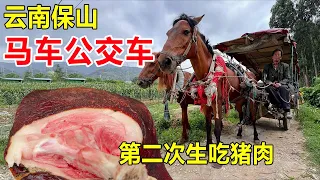 云南保山，坐2元马车公交车去吃“火烧肉”，人生第二次生吃猪肉 #麦总去哪吃