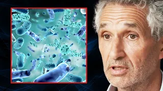 EAT THIS to Optimize Your Microbiome & PREVENT DISEASE | Tim Spector