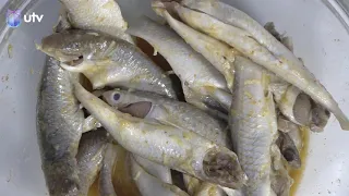 ألف عافية | طريقة تحضير صيادية سمك الزوري مع الشيف خلدون