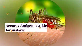 Accurex Antigen Test | Rapid Test | Accurex Biomedical | Malaria Test Kit