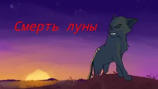 Cat Warrior Смерть луны •Заказ•