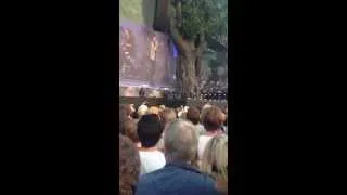 Rolling Stones Hyde Park 2013 It's Only Rock n Roll