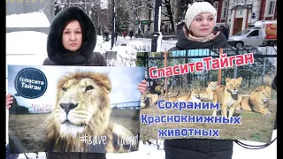 Пикет за парк Тайган Олега Зубкова. Крым не наш, а путинской братвы. Как отжимают бизнесы в Крыму