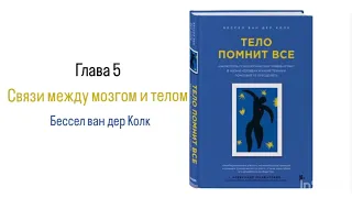 ТЕЛО ПОМНИТ ВСЕ. Глава 5. Связи между мозгом и телом #аудиокнига