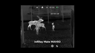 InfiRay Outdoor Mate MAH50 - High-End Thermal Clip-On