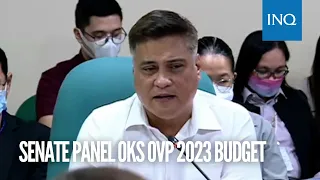 Senate panel OKs OVP 2023 budget