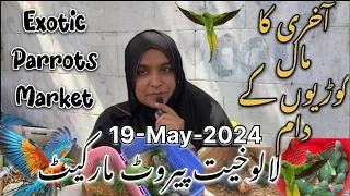 Lalukhet Exotic Parrots Market Karachi |Unique Birds & Parrots 19-May-24 | T.S Informative #exotic