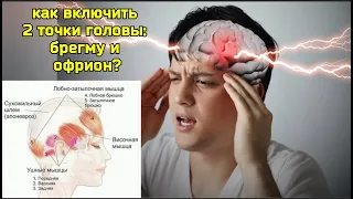 Мозг и шея устали от стресса? Помогут 2 точки: брегма и офрион