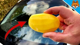 Rub your Windshield with a POTATO and WATCH WHAT HAPPENS 💥 (Amazing) 🤯