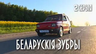 БЕЛАРУСКІЯ ЗУБРЫ (2 серыя)