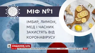 Способны ли имбирь, лимон, мед и чеснок защитить от коронавируса – Мифы о COVID-19