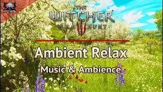 The Witcher 3 Relaxing Ambient Music | 4 Hours of Emotional and Relaxing Soundtrack and Ambience