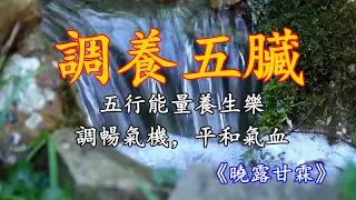 五音療疾丨五行能量養生樂，調暢氣機，平和氣血！