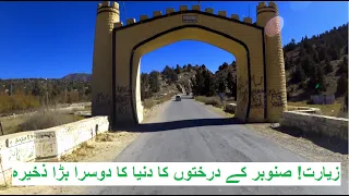 #BalochistanLandofBeauty #Ziarat ZIARAT | COMPLETE TRAVEL GUIDE | Explore Pakistan | Episode 4