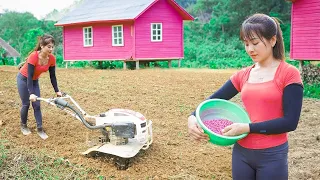 How To Use Compact Harrow, Planting New Corn Crop, OFF GRID - Life living and nature | Nhất New Life