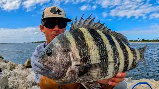 Fishing from Rocks for Convicts at Sebastian Inlet - Sheepshead