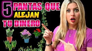 Cámbialo de Inmediato 5 Plantas En Tu Casa - Hogar Que Te Alejan Del Dinero