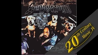 Snoop Dogg - Bitch Please (feat. Xzibit & Nate Dogg)
