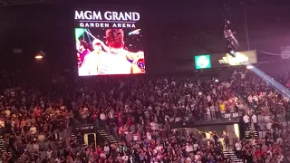 Canelo vs plant K.O at the MGM grand