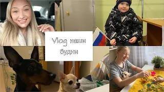 Влог|Сэм после наркоза//голосуем🇷🇺/песочница дома😁