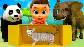Nhạc Thiếu Nhi Remix: Chú Mèo Con | Phim Hoạt Hình Về Các Con Vật Đáng Yêu