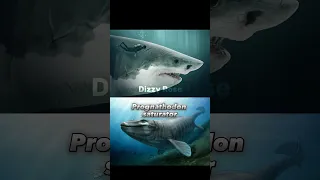 Otodus Chubutensis vs Sea Predators #paleontology #paleo #shark #megalodon #vs #dinosaurs #animals