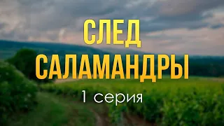 podcast: След саламандры | 1 серия - сериальный онлайн киноподкаст подряд, обзор