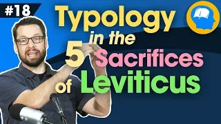 Typology in the 5 Sacrifices of Leviticus: How to find Jesus in the OT pt 18