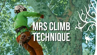 How to get into trees using MRS | moving rope system /DRT | safe, beginner tree climbing