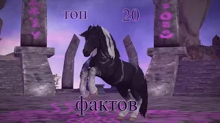 Топ 20 секретов (фактов) Star Stable Online (2 ч.)