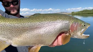 I NEVER CATCH this SPECIES - Fly Fishing Spinney Mountain in Colorado for LARGE TROUT