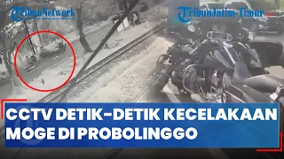 CCTV DETIK-DETIK KECELAKAAN MOGE DI PROBOLINGGO, Polisi Beberkan Kronologinya